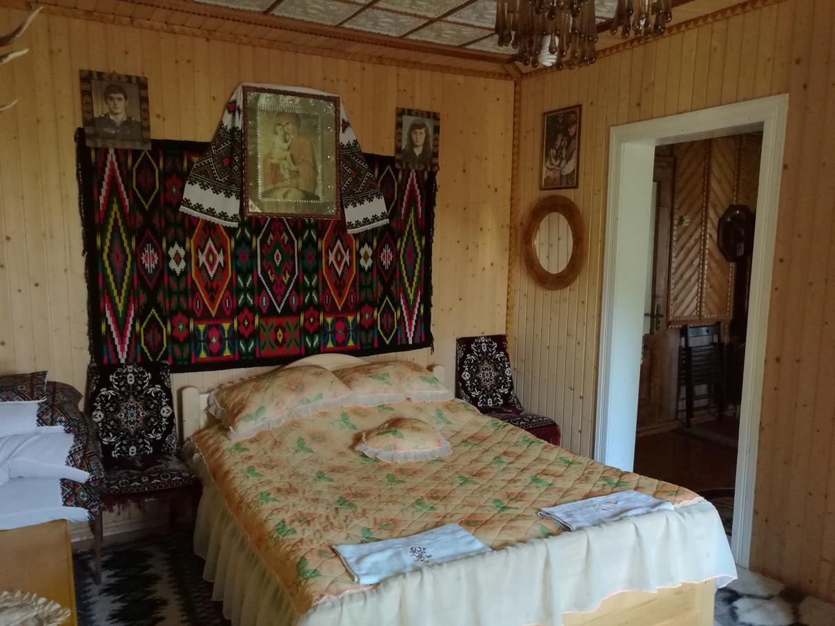 Gutsulska Oselya Villa Krivopol'ye Ngoại thất bức ảnh