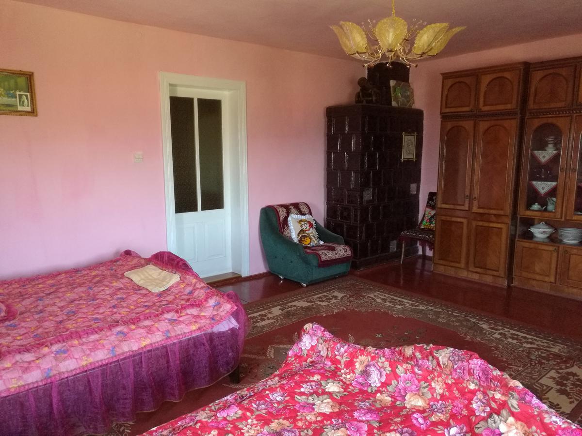 Gutsulska Oselya Villa Krivopol'ye Ngoại thất bức ảnh
